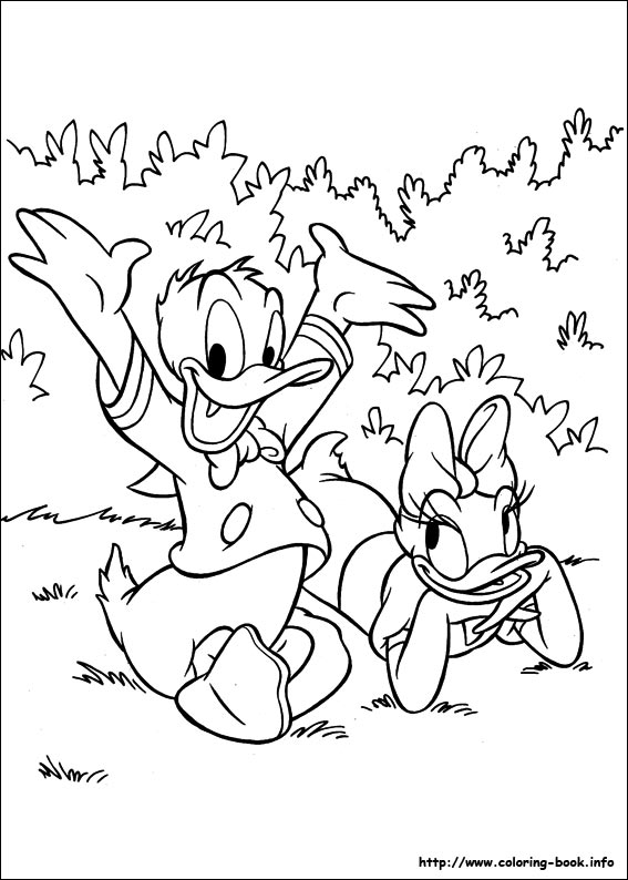 Daisy coloring picture