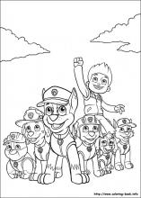 godtgørelse høg lære Paw Patrol coloring pages on Coloring-Book.info