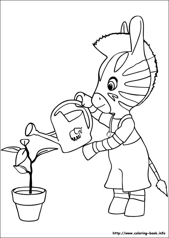 Zou coloring picture