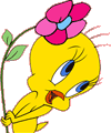 Tweety coloring pictures