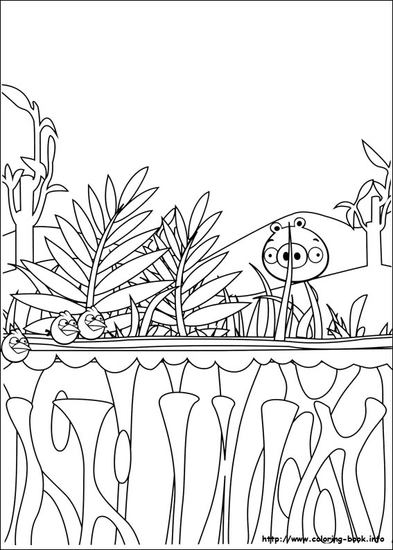 Angry Birds coloring picture