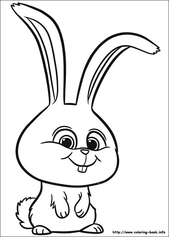 The secret life of Pets coloring picture