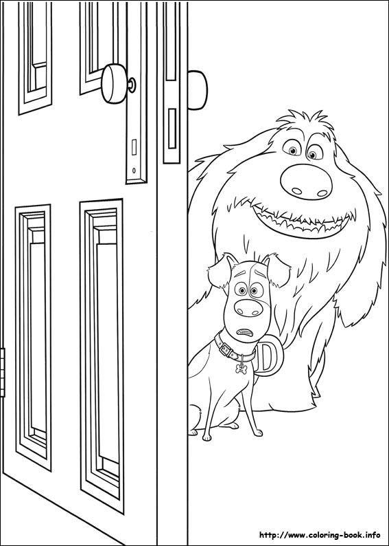The secret life of Pets coloring picture